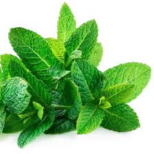 Peppermint Flavor